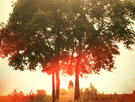 网页版手机号攻击