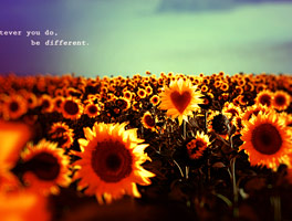 在线轰炸网页版